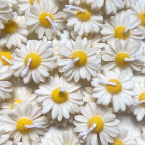 10- Velas Margarida 20 gramas- 5x1 cm ( aroma chá branco)